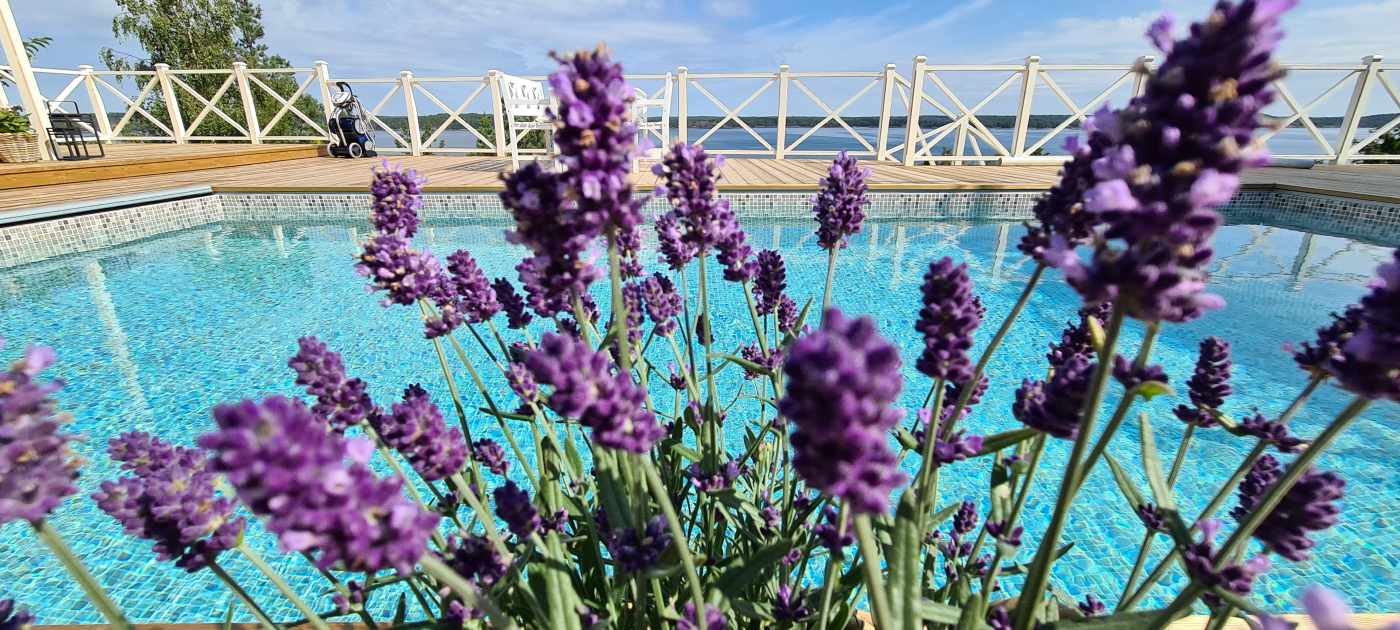 Poolen i kvällsljus med havsutsikt