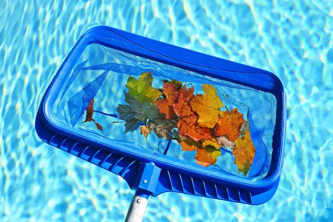 Poolservice och skötsel av pool