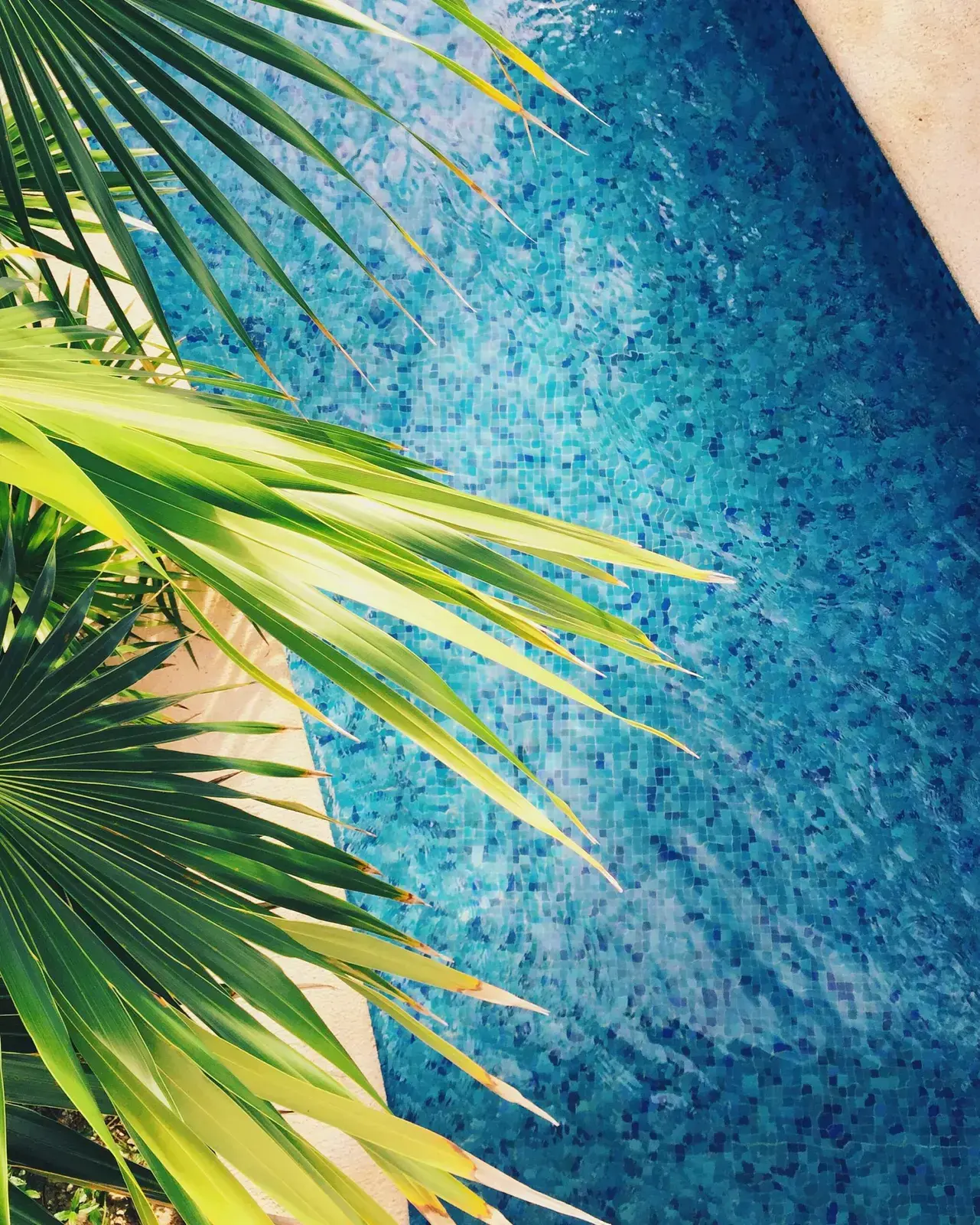 Turkost poolvatten med mosaik